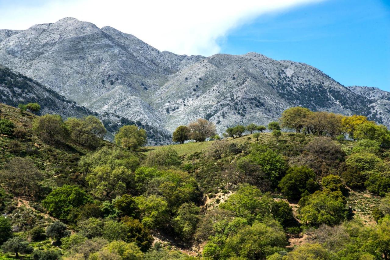 Cretan View With Heated Swimming Pool * Pátima